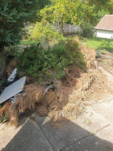 Posečene grane složene u dvorištu